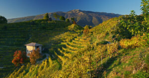 Best sparkling wines, Vigneto Giardino in Autumn, credit Adami Srl