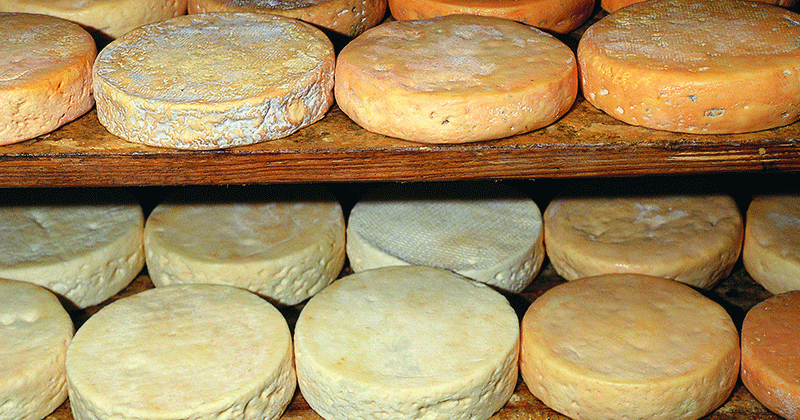 Alsace-Munster-cheese-©-D.-Bringard-ADT-68