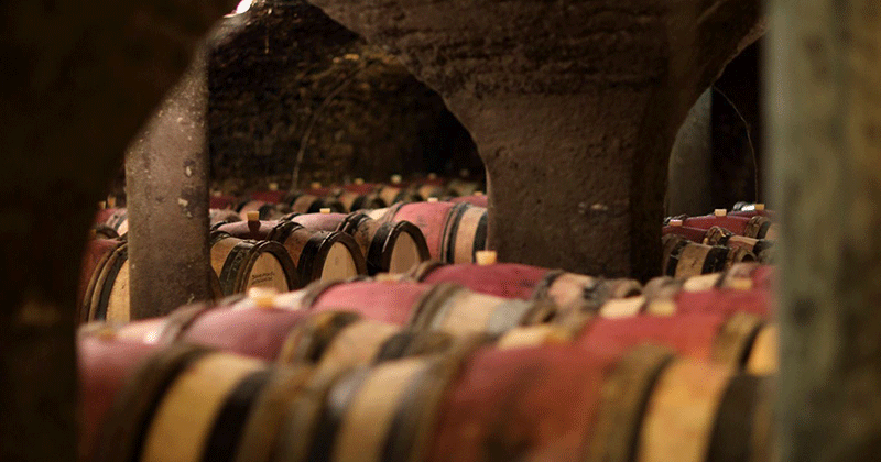 Winery---Credits-Maison-Champy