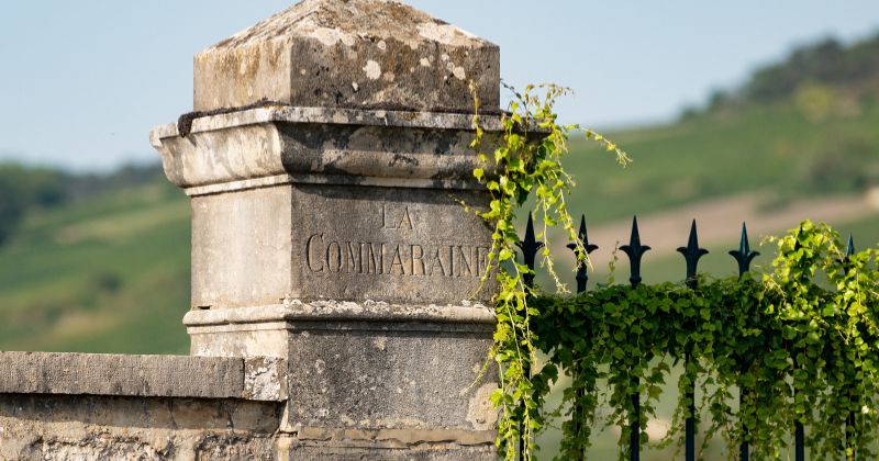 Chateau La Commaraine, Clos de la Commaraine, credit Pierre Tual and Romain Berthiot