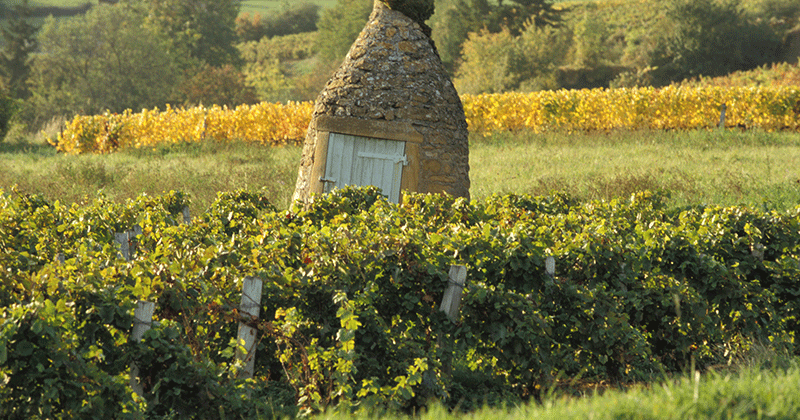 Cadole---Daniel-Gillet-Inter-Beaujolais-copyright