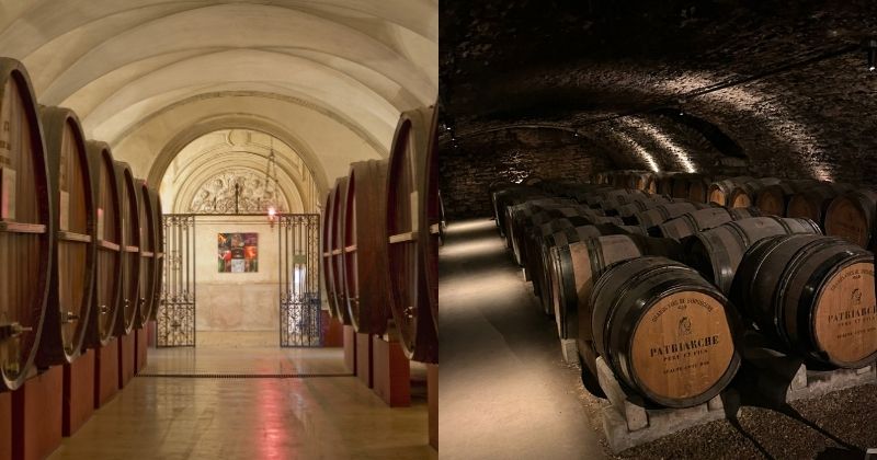 Grape Escapes team in Burgundy - Caves Patriarche