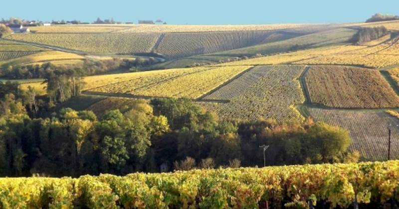 Chablis- Credits Chablis Vititours