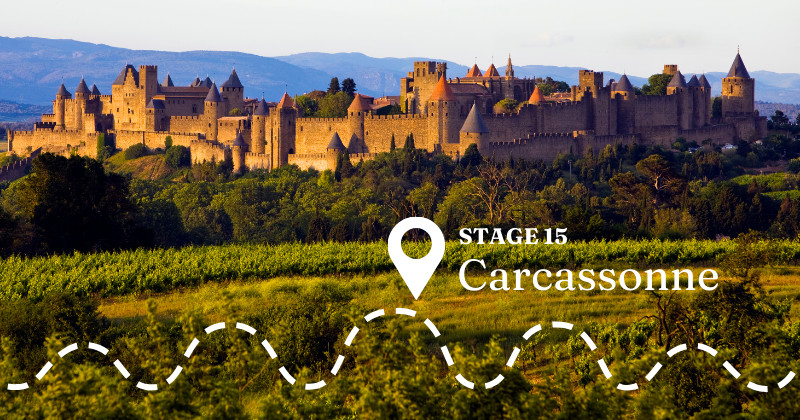 Carcassonne with Grape Escapes (Tour de France)