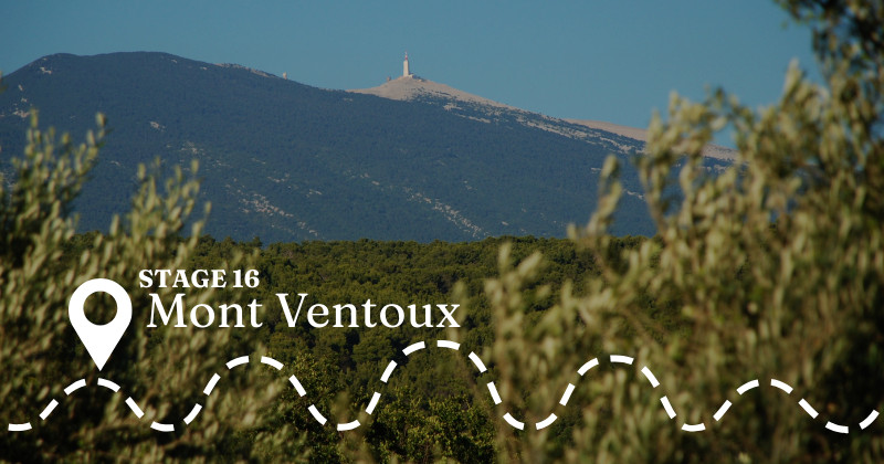 Mont Ventoux and Chateauneuf-du-Pape with Grape Escapes (Tour de France)