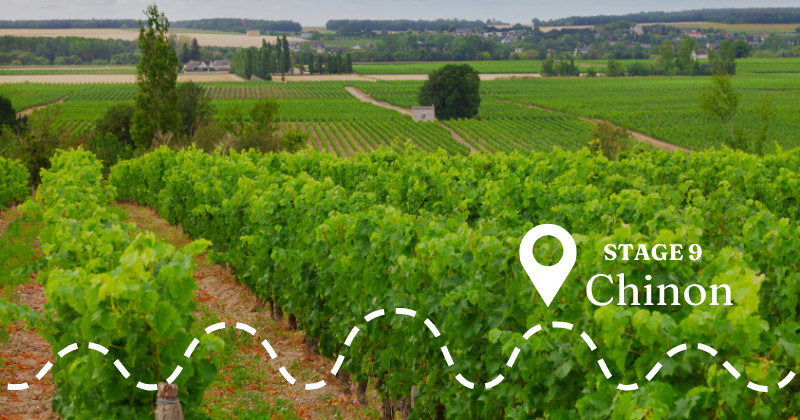 Chinon with Grape Escapes (Tour de France)