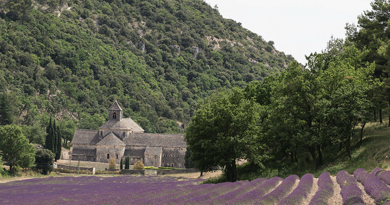 Copyright---Provence-Reservation-A-la-Francais-Provence