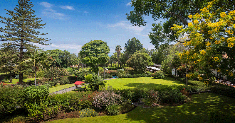 Quinta-da-Casa-Branca-gardens-800-x-420