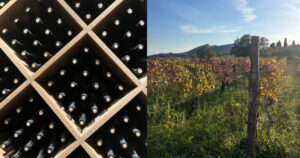 Vineyards in Etna, Sicily, Eastern Sicily Wine Tour