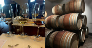 Wineries in Etna, Sicily, Eastern Sicily Wine Tour