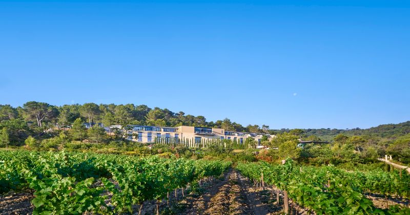 Villa La Coste, Provence, credit Richard Haughton