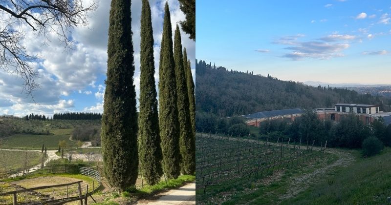Weekend in Tuscany with Grape Escapes