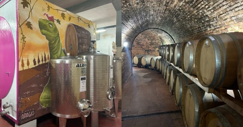 Weekend in Tuscany with Grape Escapes