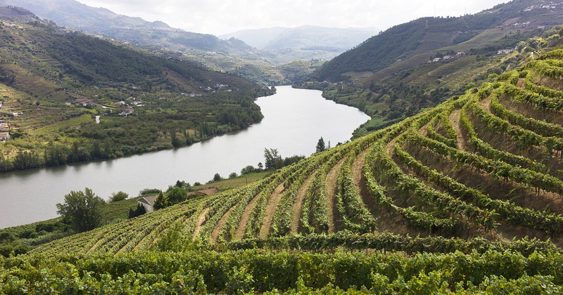 douro_3 Credits Douro Wine Tourism