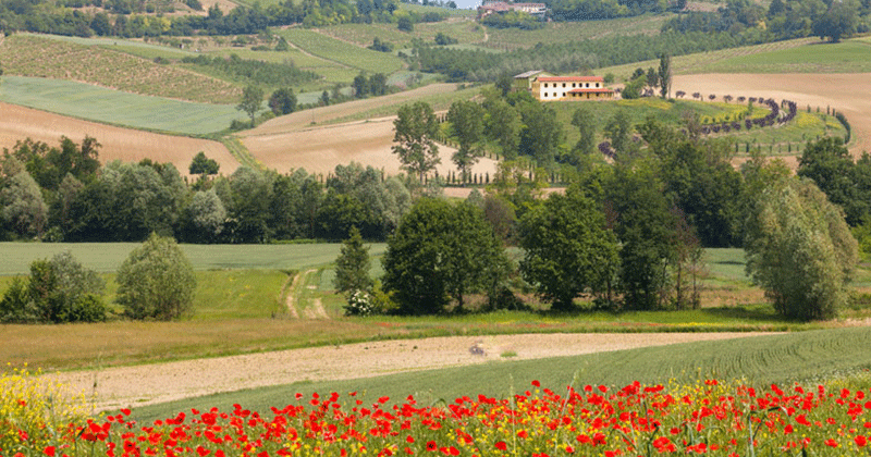 via_francigena_verso_il_mare_collina(1)--Credits-Turismo-Torino