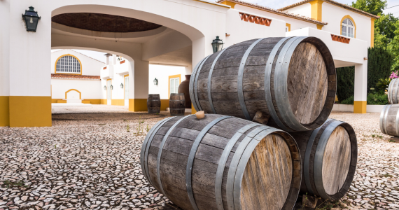 Wine tours Alentejo and south of Portugal