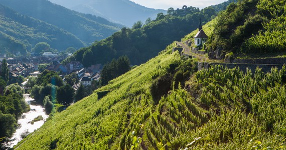 wine tours in Alsace - Credits Meyer and ADT Alsace