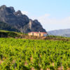 Rioja wine tour