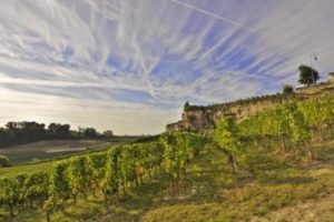 Bordeaux wine tours- Credits Heurisko