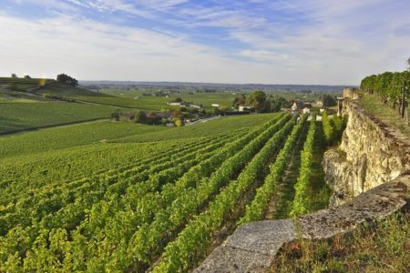 Bordeaux winery tour - credit Heurisko