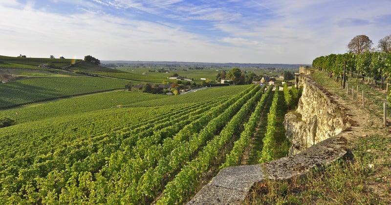 Bordeaux winery tour - credit Heurisko