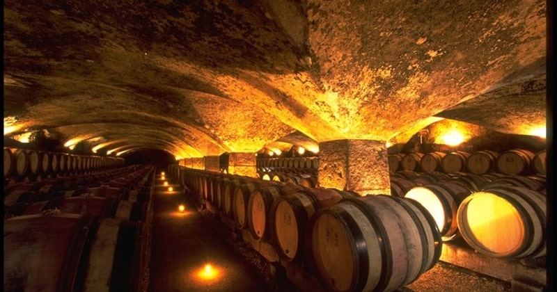 Dijon wine tour