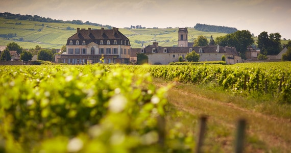 Rioja wine tours - Beaune Tourisme © Château de Pommard