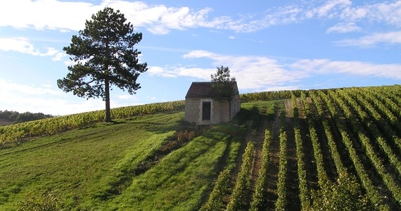 Burgundy wine tours - credits cabane Préhy