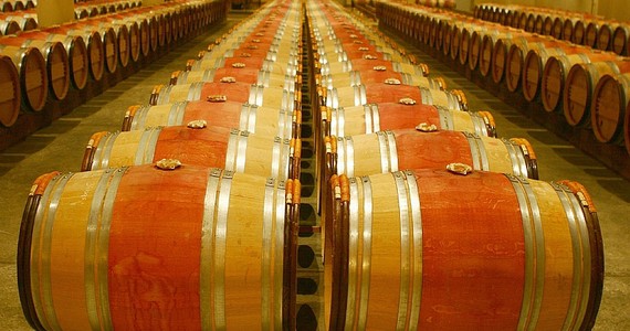 Bordeaux wine tours