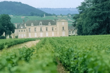 Beaune Wine Holiday- Chateau de Meursault - Côte-d'Or Tourisme-Rozenn Guiton