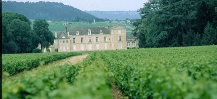 Beaune Wine Holiday- Chateau de Meursault - Côte-d'Or Tourisme-Rozenn Guiton