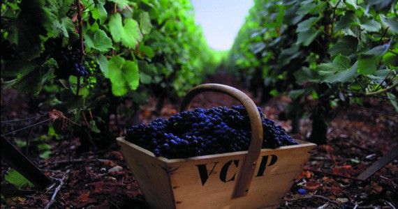 Vineyard tours Credits- Veuve Clicquot