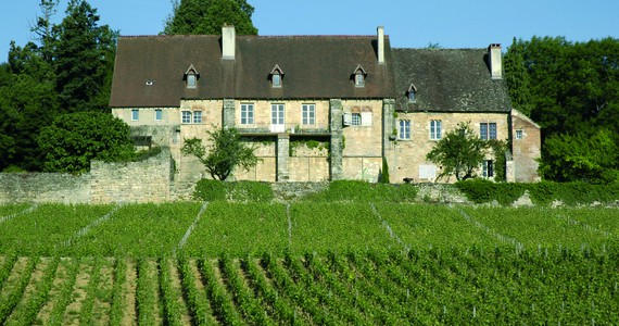 Dijon wine tour - Credits Office de Tourisme de Dijon - Atelier Démoulin