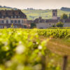 Burgundy Wine Tours - Beaune Tourisme © Château de Pommard (2)