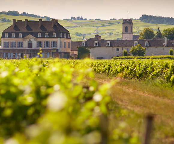 Burgundy Wine Tours - Beaune Tourisme © Château de Pommard (2)