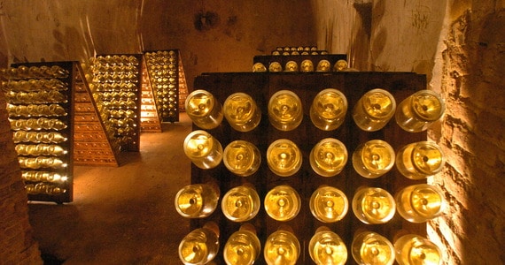 Champagne Tour - Ruinart Bottles in Cellar