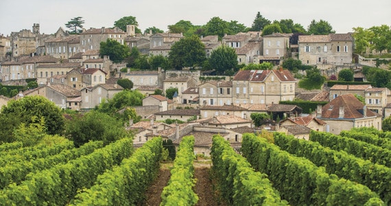 Saint-Emilion wine tour - Credit Vincent Bengold