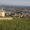 Rhone Wine Tours - TAINL'HERMITAGE4_L. PASCALE ADT26