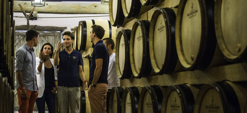 Wine Tours