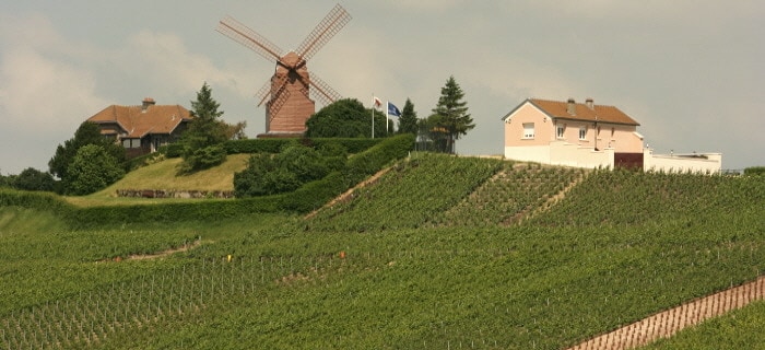Simply Epernay vineyard tour - Moulin