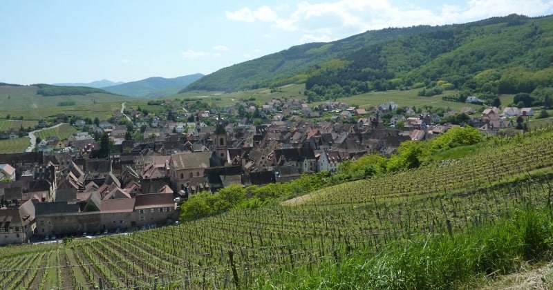 Riquewihr wine tour - Credits Alsace