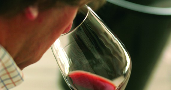 Douro wine tour - Credits Douro Wine Tourism