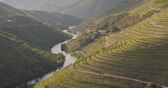 Douro wine tour - Credits Grapes Hospitality- The Fladgate Partnership