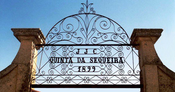 Douro Wine Tour - Credits Douro Wine Tourism