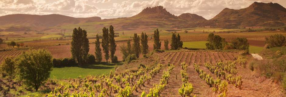 View across the vineyards of Rioja on a Grape Escapes wine tour
