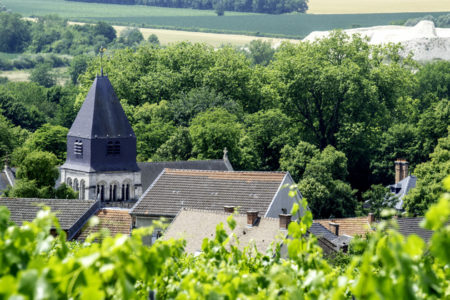 Epernay day tour - Credits Vine Escape