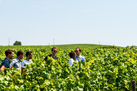 Epernay vineyard tour - Credits Vine Escape