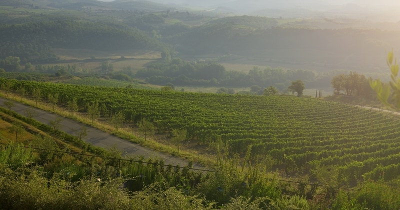 Tuscany Wine Holiday- Credits Fontanelle