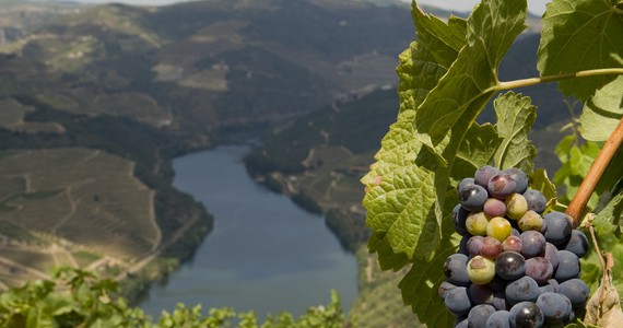 Douro Valley Wine Tours- Credits Douro Wine Tourism