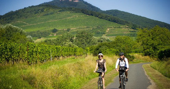 Alsace Wine Holiday- Credits Infra and ADT Alsace